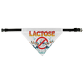 AOB Pet Bandana