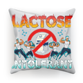 AOB Sublimation Cushion Cover